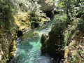 Vis - Cevennen