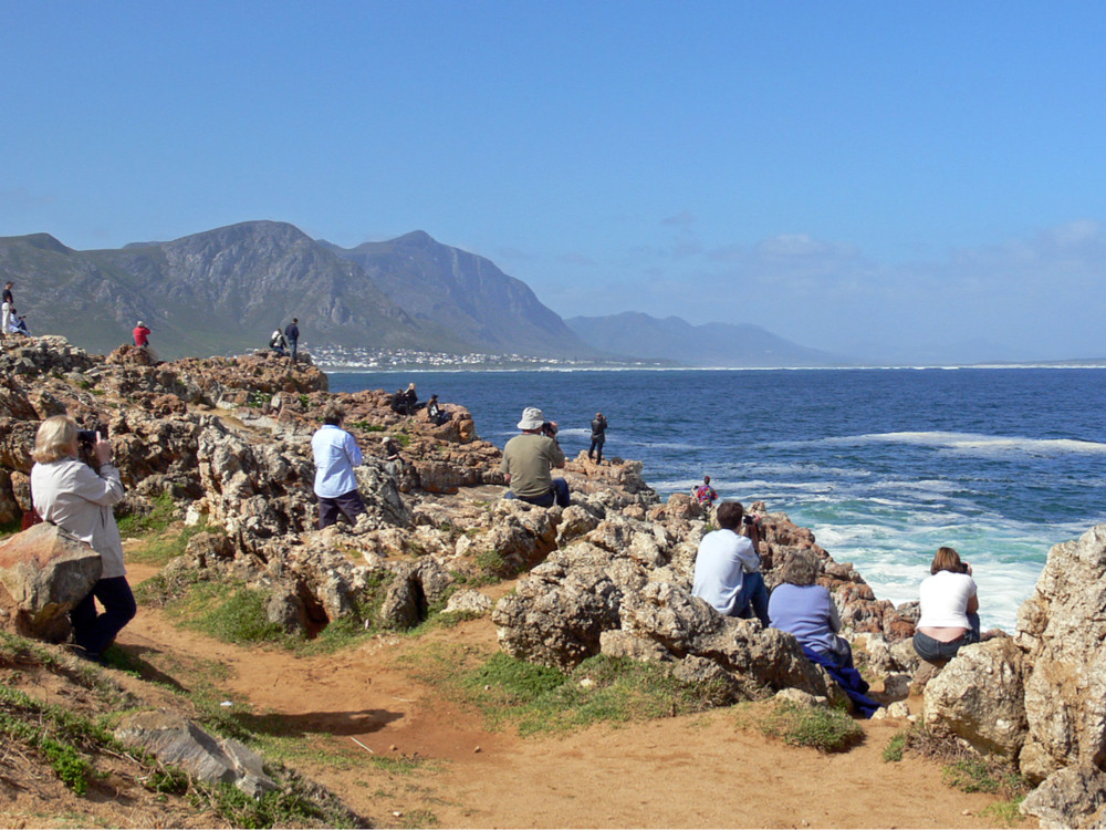 Publiek Hermanus