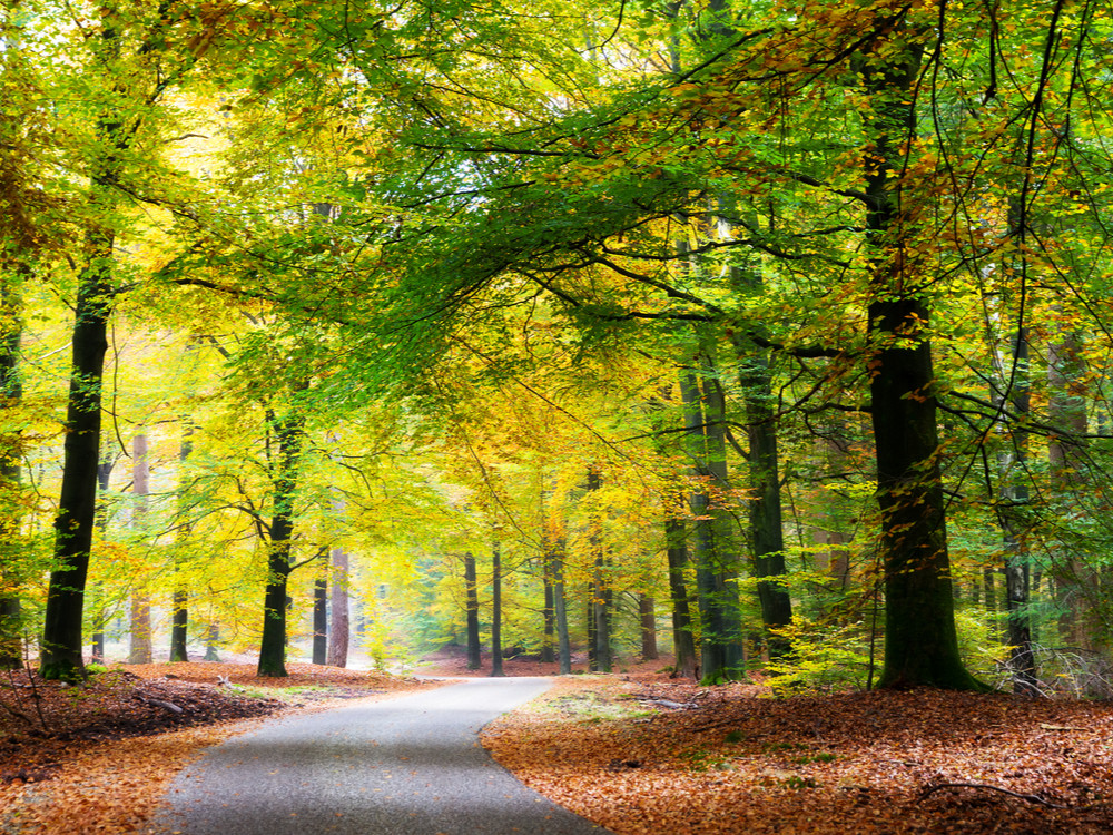 Motorroute Veluwe