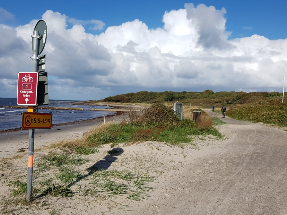 Fietsen in Zuid-Zweden