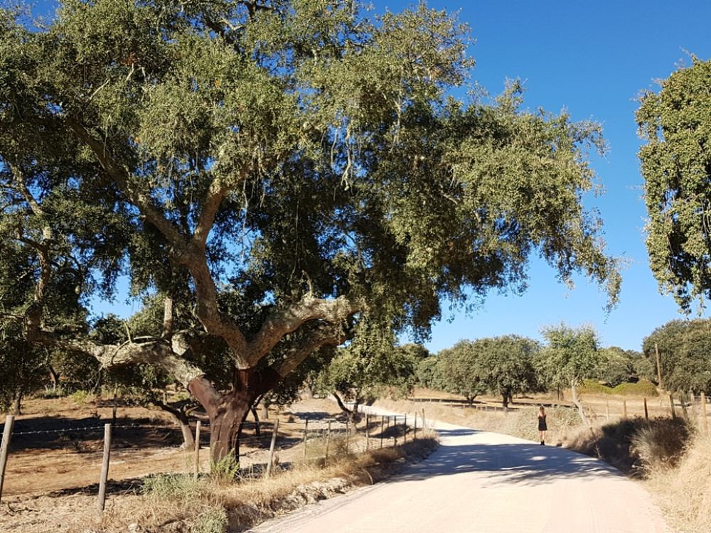 Wandelen Alentejo