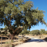 Afbeelding voor Wandelen in Alentejo