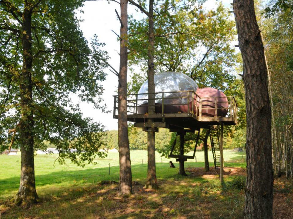 Lotsbestemming Ster Schaduw Bijzonder overnachten in de Ardennen | 11 unieke slaapplekken