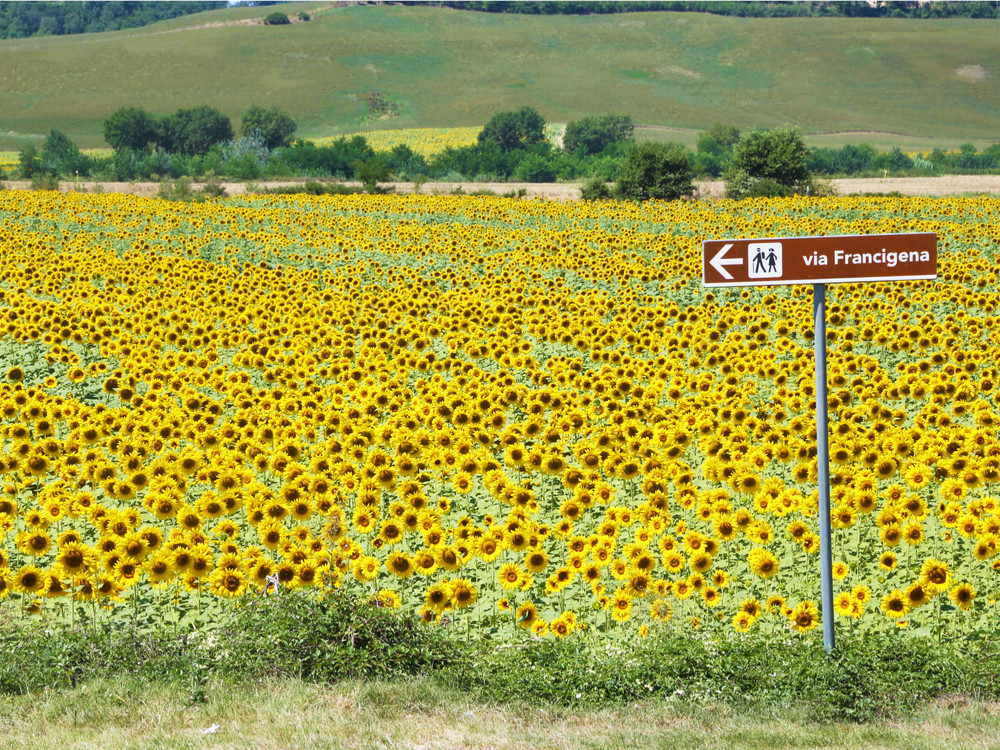 Via Francigena wandelen