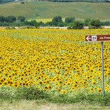 Afbeelding voor Via Francigena