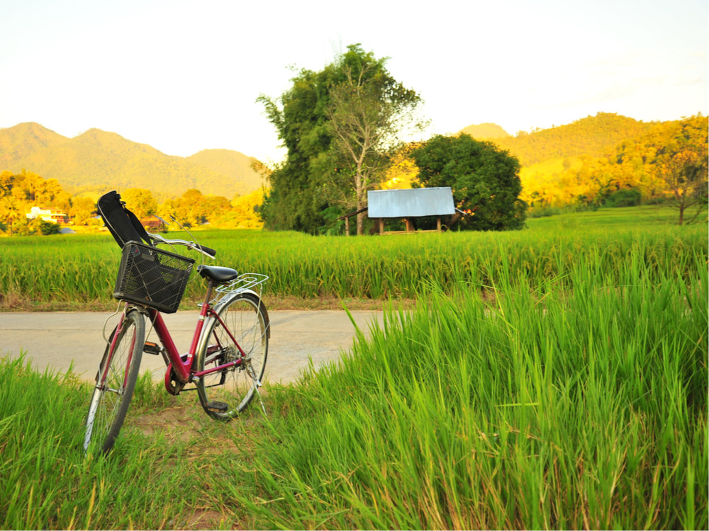 Fietsen Bali