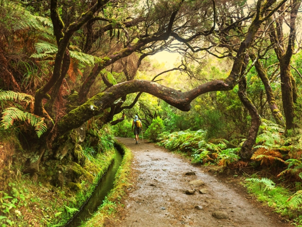 Wandelen Madeira