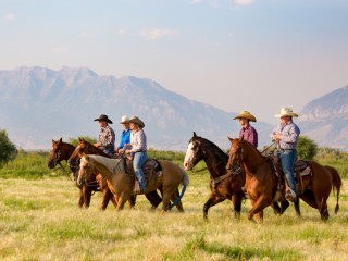 Afbeelding voor Paardrijden in Amerika