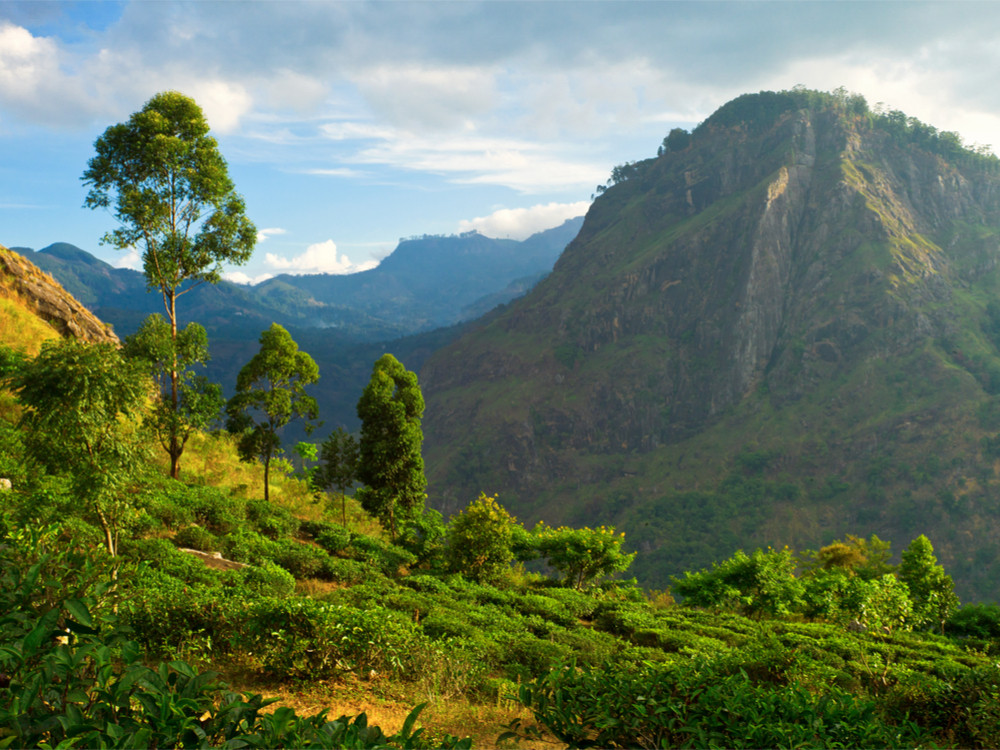 Wandelen in Sri Lanka