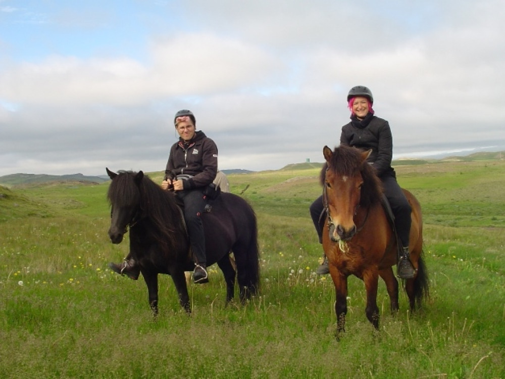 Paardrijden IJsland