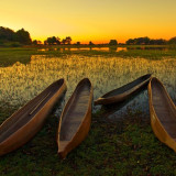 Afbeelding voor Mokorotocht in Botswana