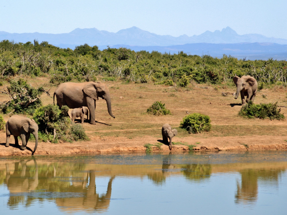 Mooiste plekken in Afrika Top 10 van mooie plekjes in