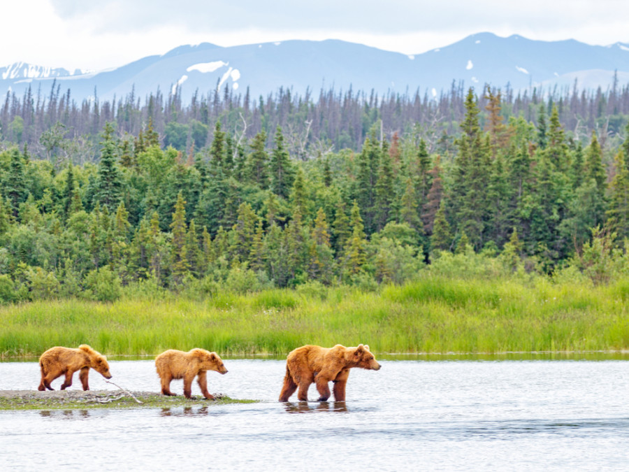 Natuurgebieden Alaska