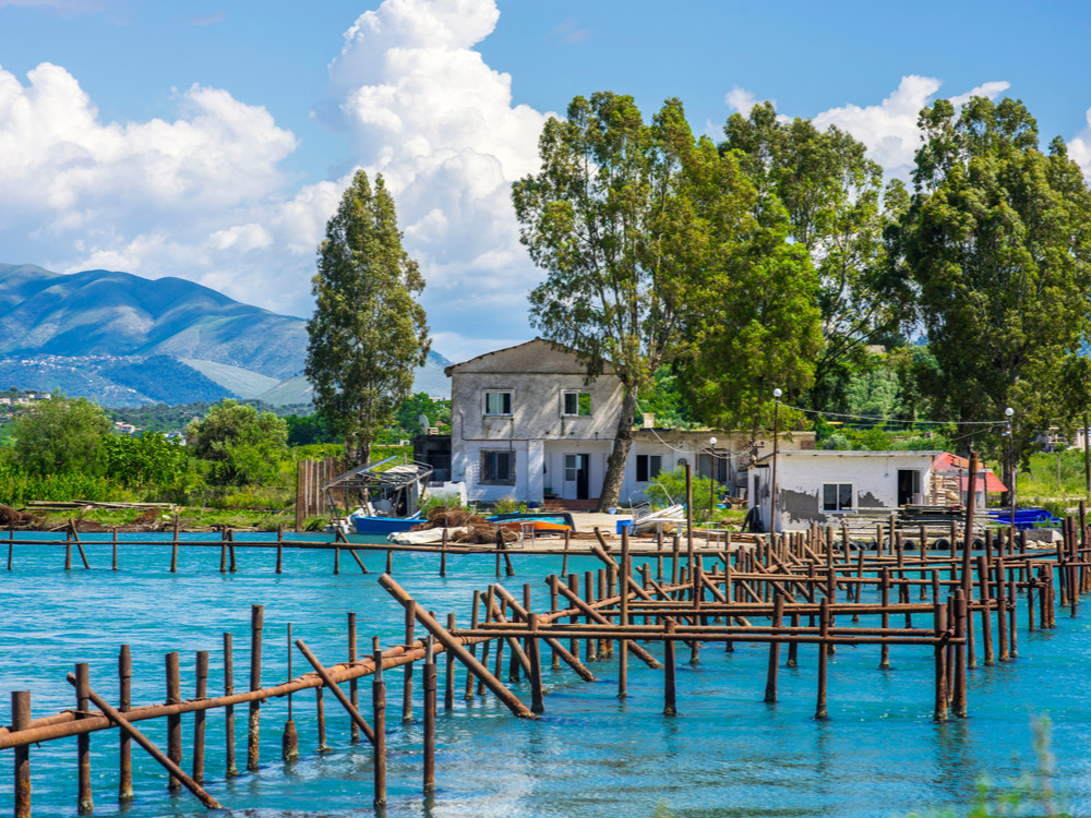 Butrint oesters