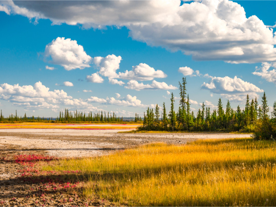 Alberta natuurreis