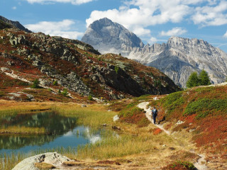 Afbeelding voor Wandelen met bagagevervoer