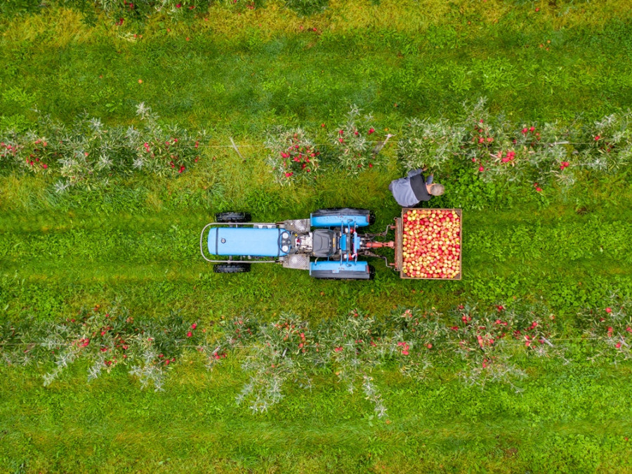 Fruitkwekerij van boven