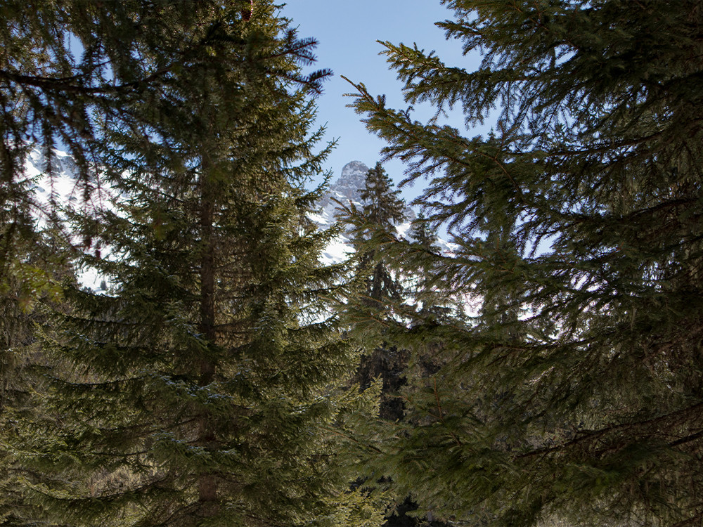 Natuur in Méribel