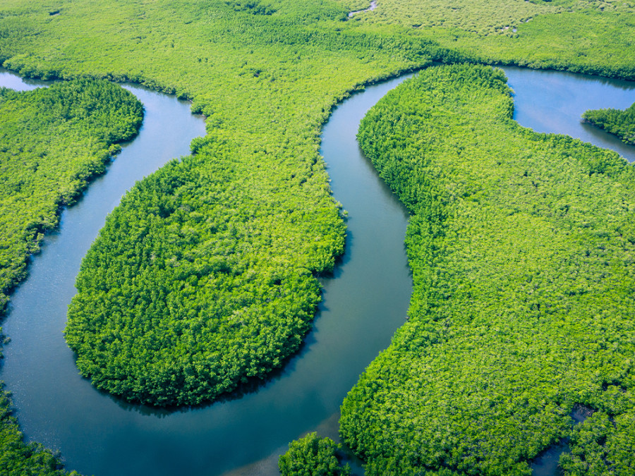 Amazonerivier Amazonerivier