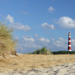 Afbeelding voor Ameland