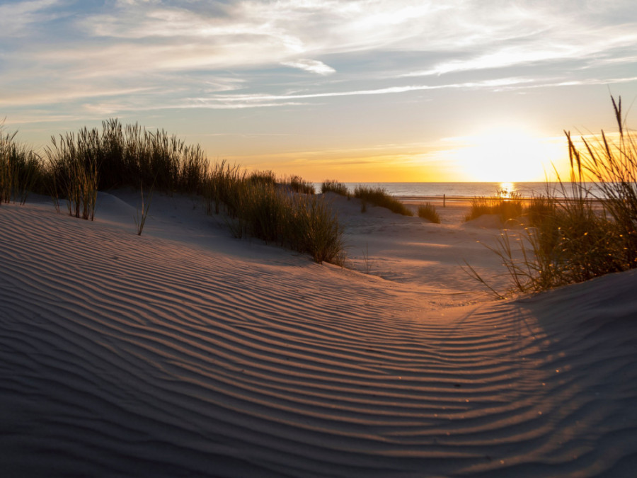 Ameland natuur