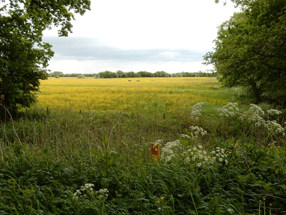 Amerongse Bovenpolder