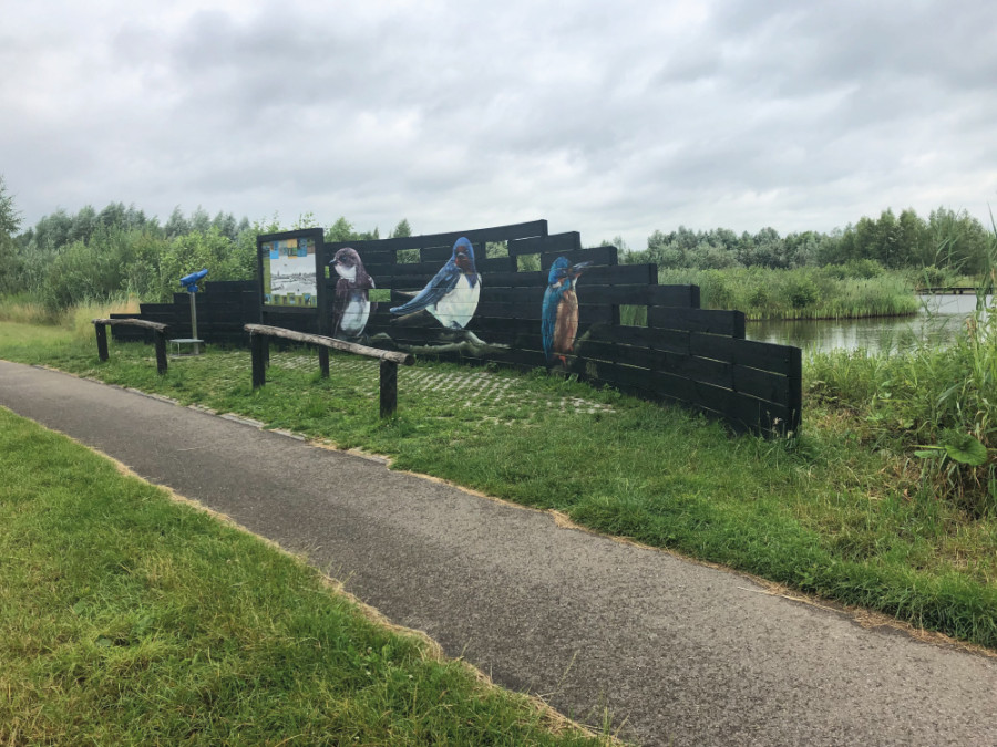 Vogels kijken de Schammer