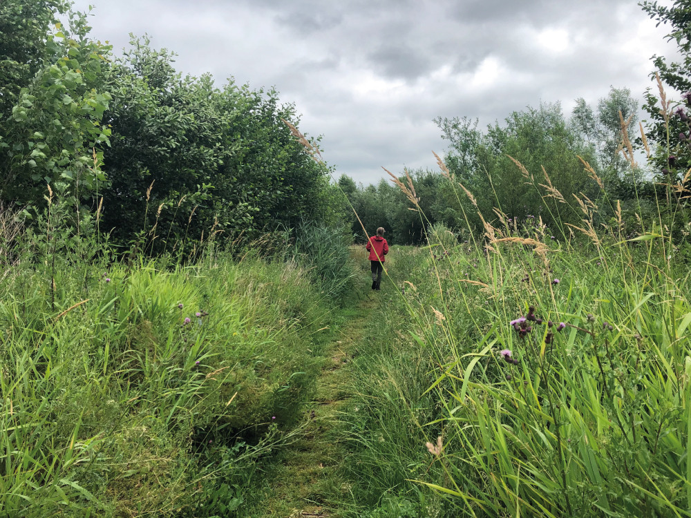 Wandelen vlakbij Amersfoort