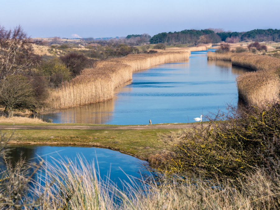 Natuur Amsterdamse Waterleidingduinen