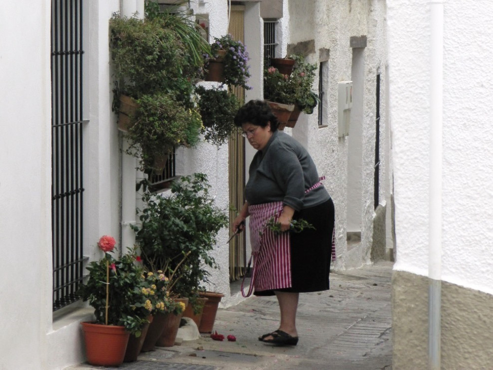 Alpujarras