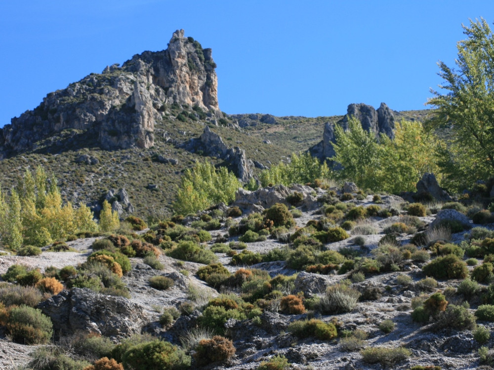 Natuur Andalusië