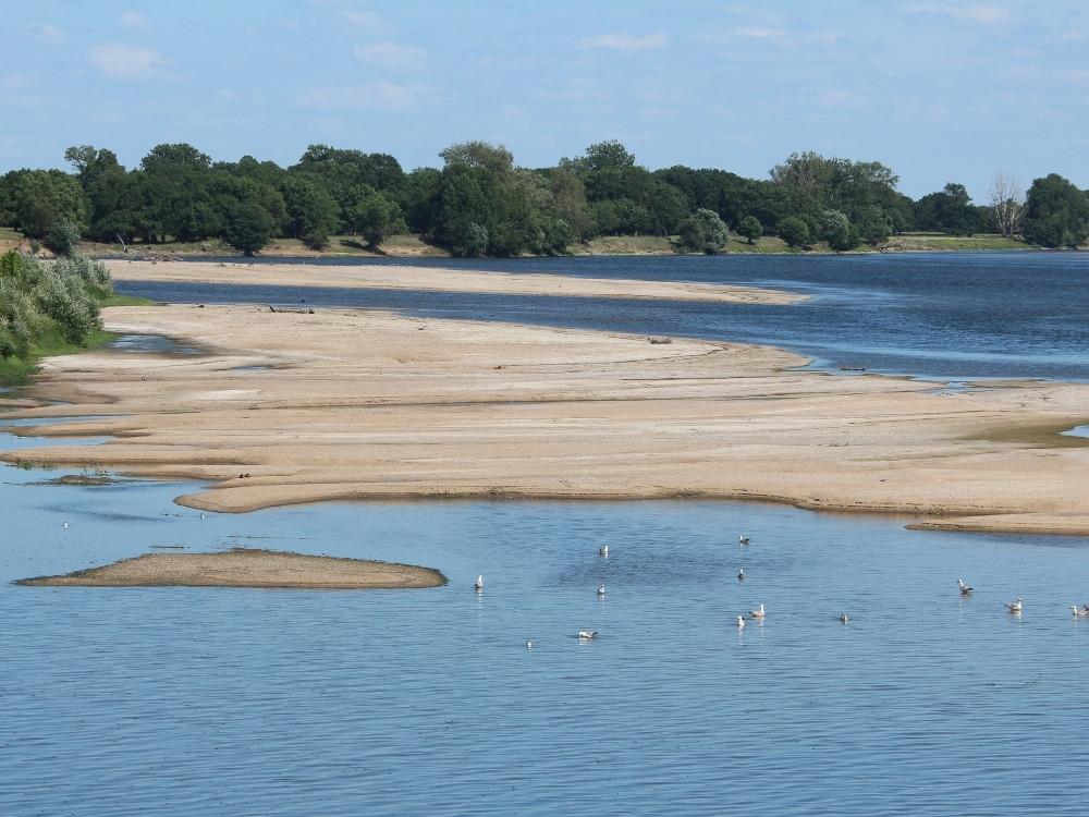 Mooie natuur