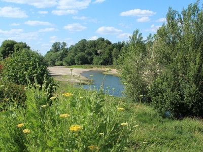Afbeelding bij Loire in Frankrijk