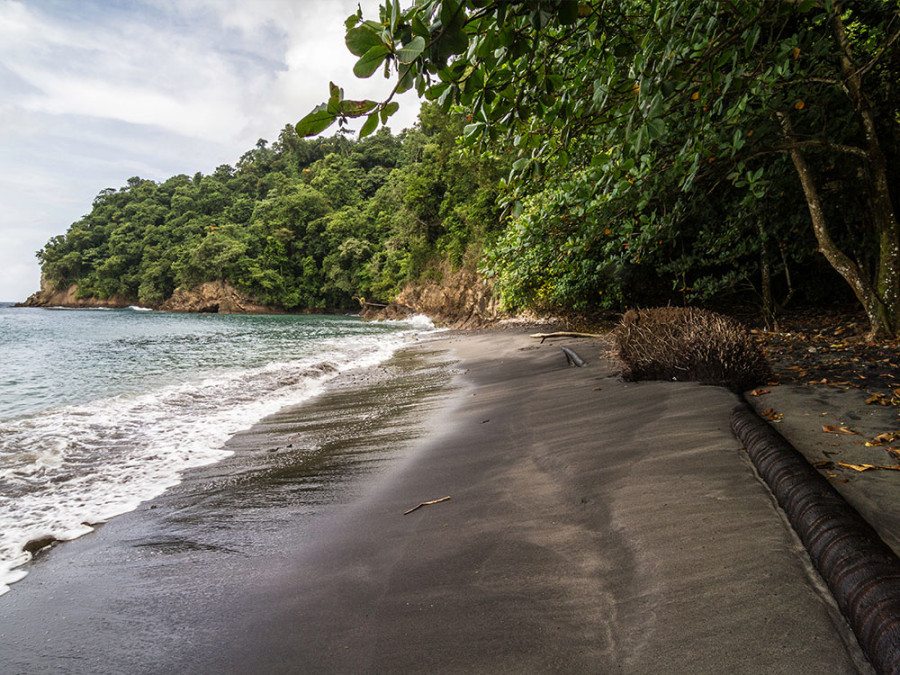 Mooiste stranden Martinique