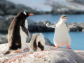 Antarctica