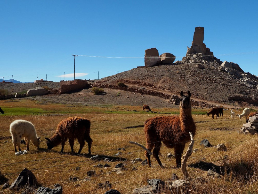 Antofagasta de la Sierra