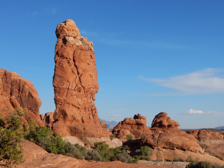 Natuur in Arches National Park