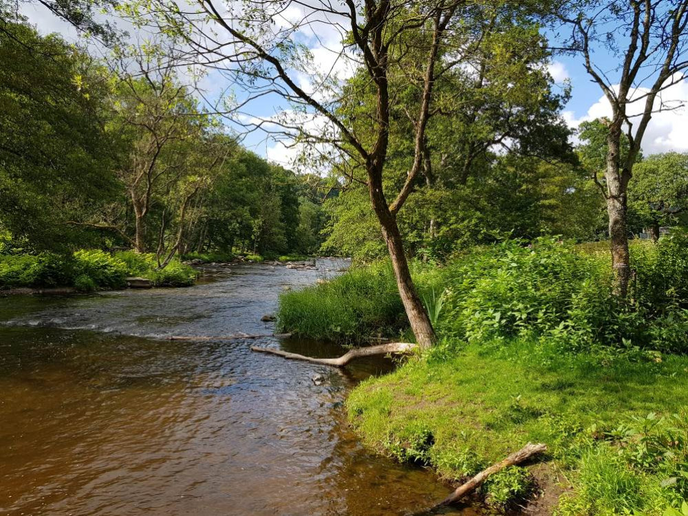 Natuur in Wallonië