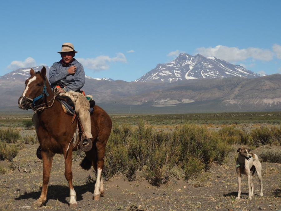 Argentinië gaucho cowboy