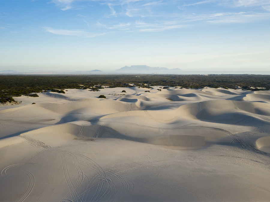 Natuur rond Kaapstad