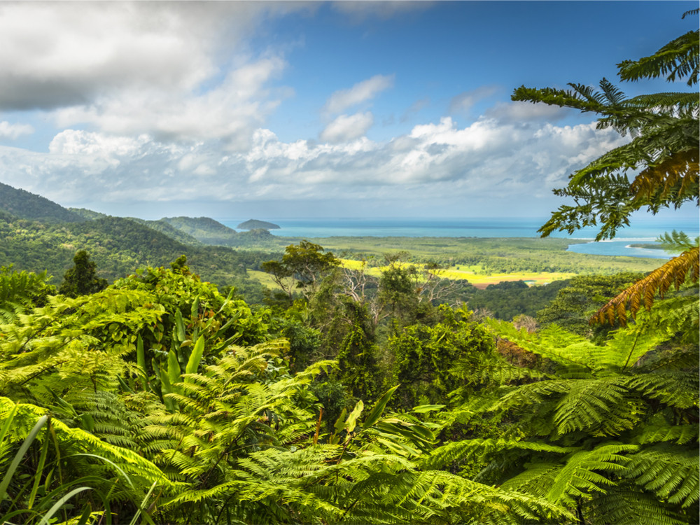 Daintree National Park