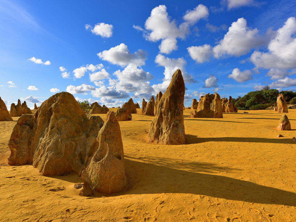 Nambung NP - West-Australië