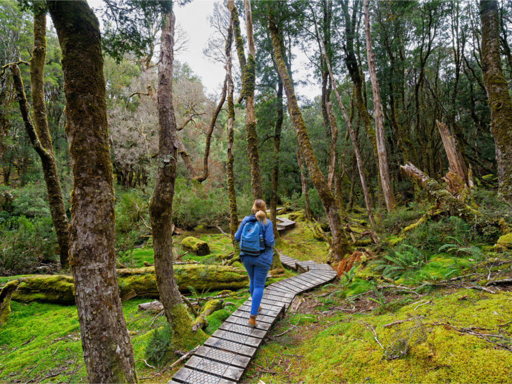 Cradle Mountain