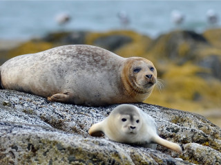 Afbeelding voor Baikalmeer in Rusland