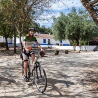 Afbeelding voor Baja Bikes - Fietstours en -verhuur