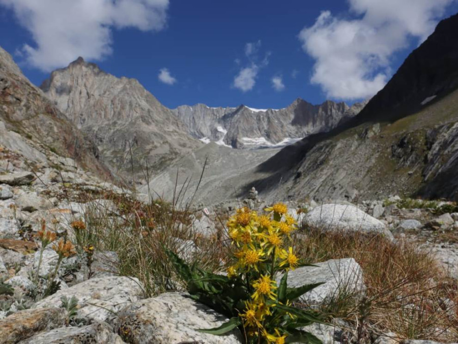 Trektocht in Wallis