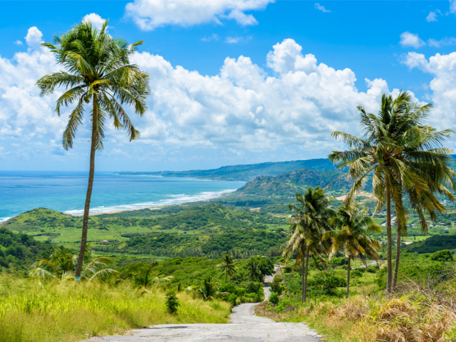 Natuur op Barbados