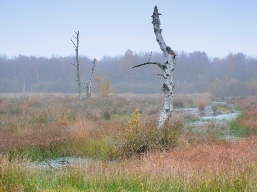 Natuur Zuidoost-Drenthe