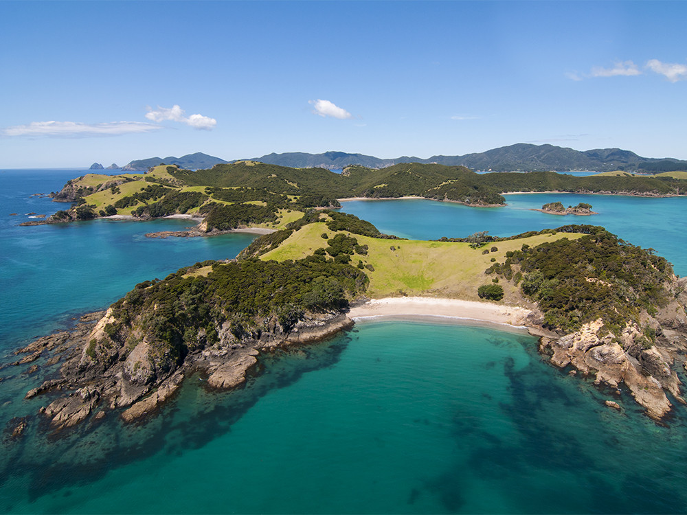 Pohutukawa langs de kust