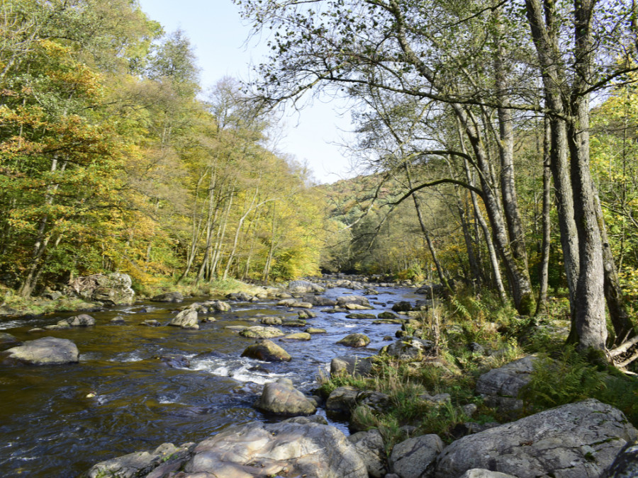 natuurgebieden ardennen